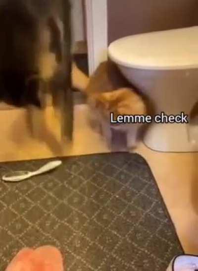 I hate it when you do that...