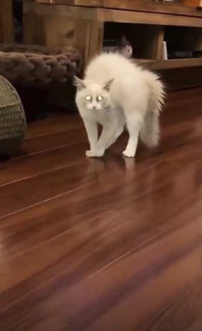 ..just like so uptight people..