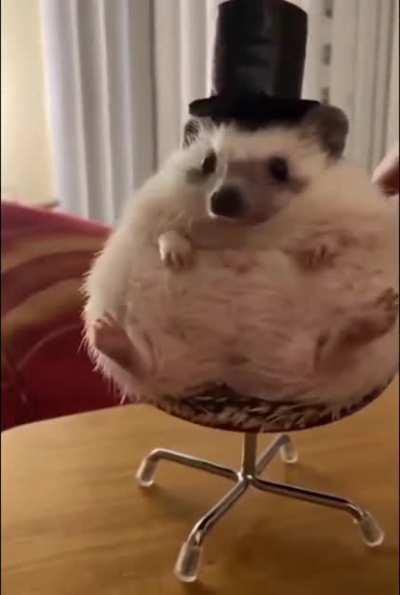 I've been expecting you, Mr Bond