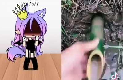 found this sh!t on TikTok...