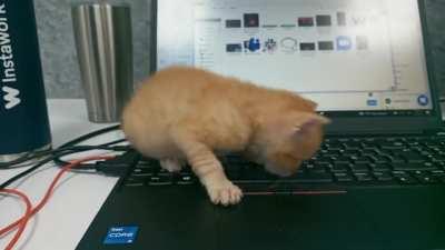 He's a hard office worker