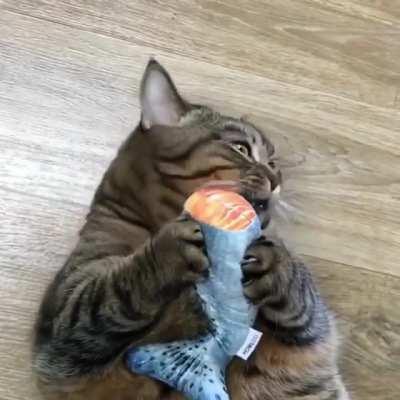 What an absolute unit