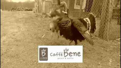 Reine calls Kiara the C word, Kiara attacks Reine