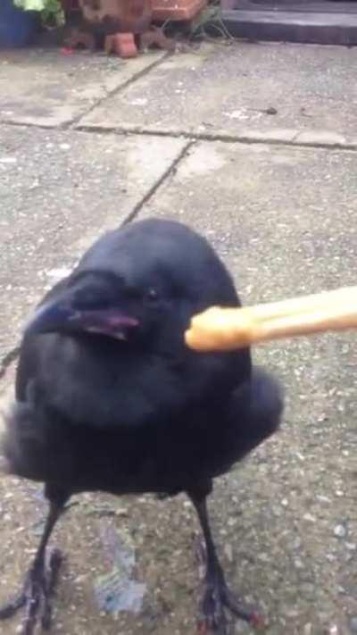 I just found this and i would already die for him