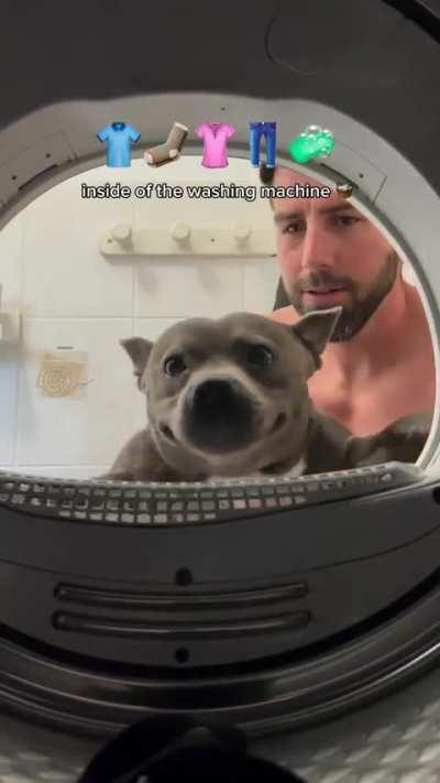 Showing things to a wunk that the wunk has not seen before