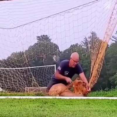 With his antlers caught in a net, he is freed by this guy - good job