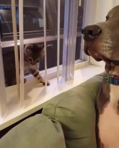 Hello, how-.....Well, EXCUSE ME!