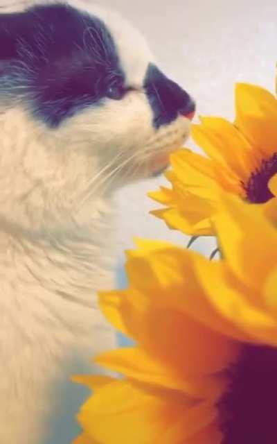 “ What if i just.. “