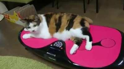 Fitness equipment inspector