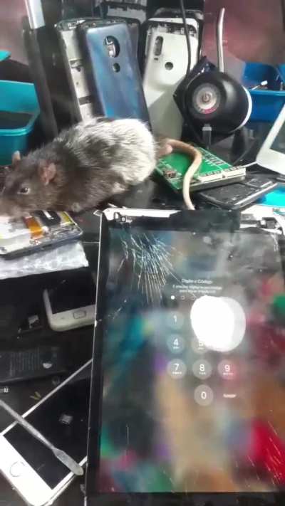 Eu demorei pra perceber 