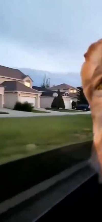 Life is like that sometimes