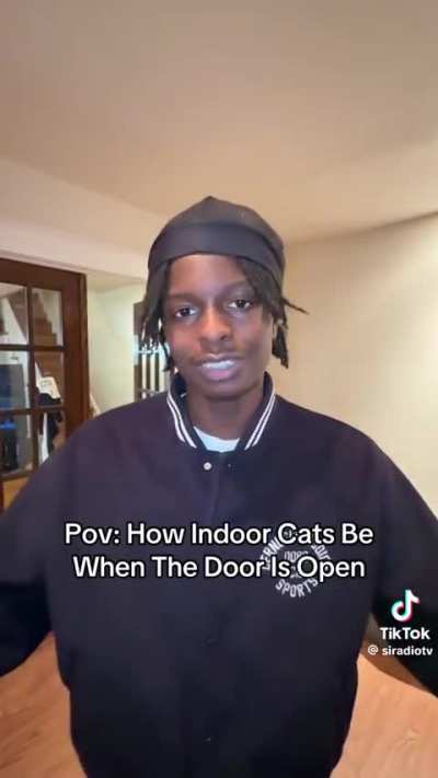 Then they get spooked and run back all puffy tailed😭