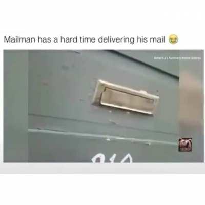 I love how he's laughing about it.