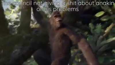 you can imagine which council members are which