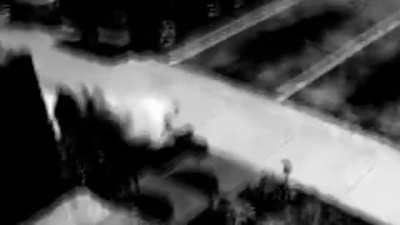 Anyone else see the video of that dog jumping out of the window