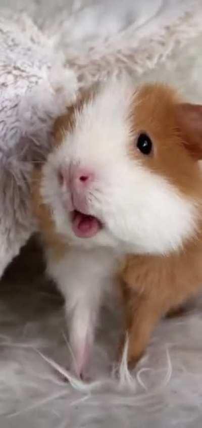 Headphone users beware!