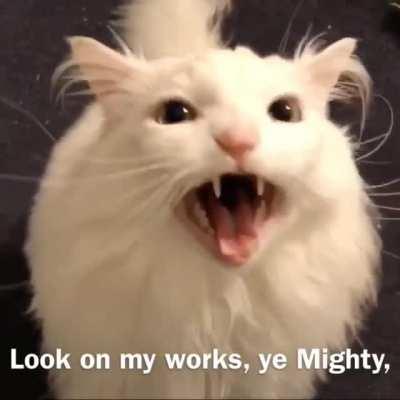 Thurston is quite a talented dramatic reader