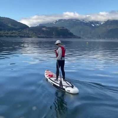 Hey jerk! Get off my SUP fin!