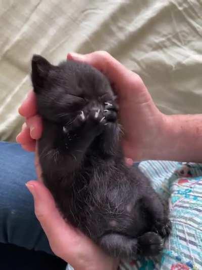 Criminal destroys evidence while being detained