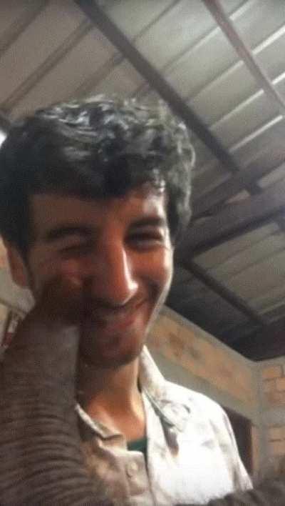 Time to nose comparison