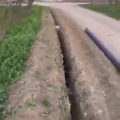 Ireland trying to leave another Lockdown.