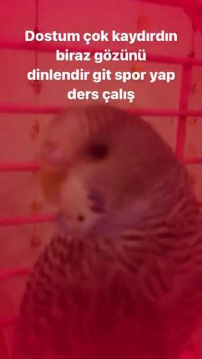 hadi herkes sporuna dersine