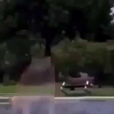 El asilo de dylantero a las 2:00 AM