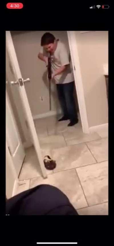 Guinea pig goes flying.