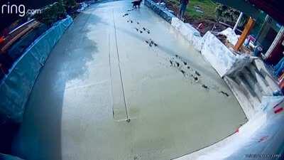 I wont spoil this. Just watch! 😁