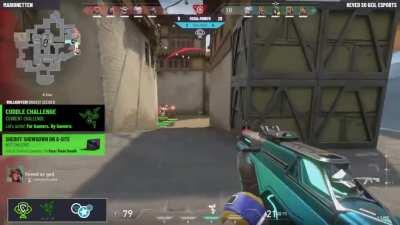 The cuddle challenges from the Valorant Challenge Cup are too wild!