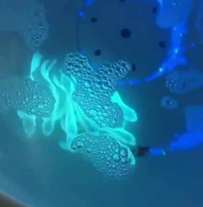 Scientists in Taiwan added jellyfish genes to carp fish DNA resulting in glowing fish