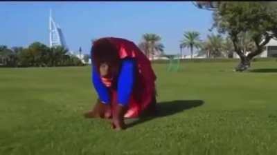 Only one man can defeat coronavirus