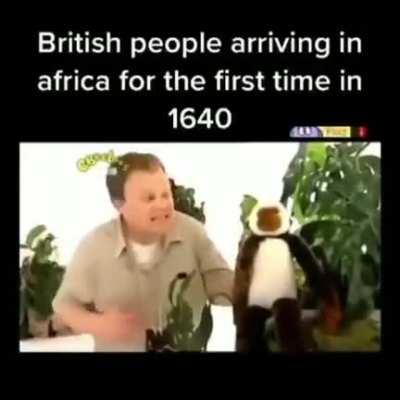 Bring it to the ships