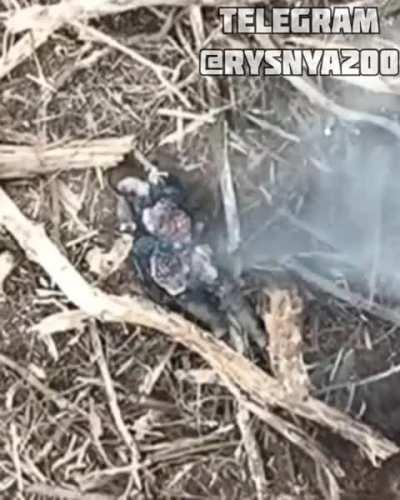 What happens when you invade another country and get drunk while doing it?