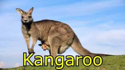 tradução 100% original...