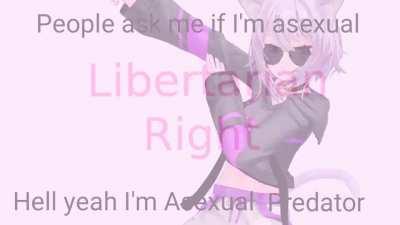 The first catgirl that libright makes has just one little problem