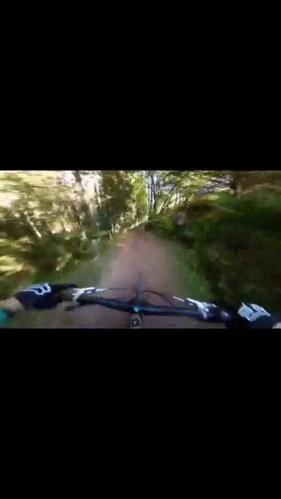 Hope they had a good helmet 