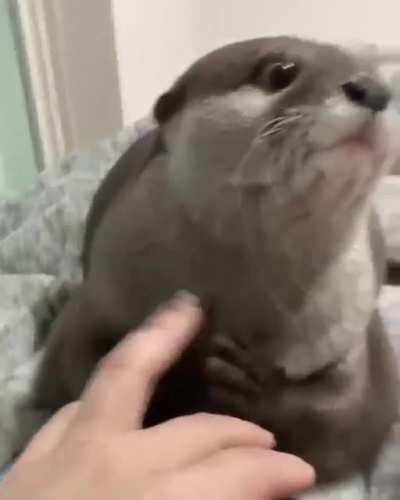 IT DO BE PLAYING MARBLES DOE