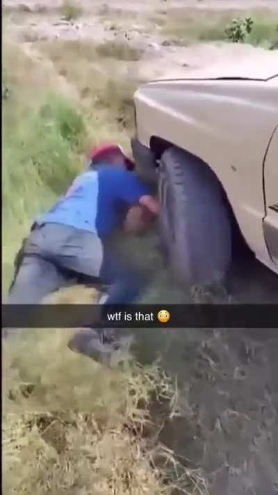 Czech caught on camera in wilderness