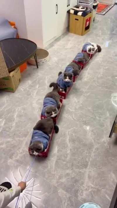 Oh lawd they touring