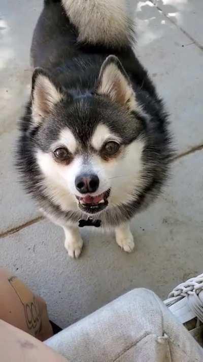 Today he was mad I wouldn't share my lunch.