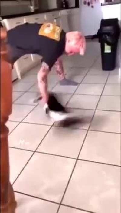 Kitty undergoing advanced G-force testing