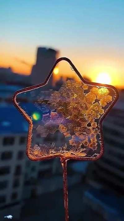 Nature's art in -30°
