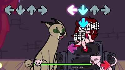 funny cat rapping???????