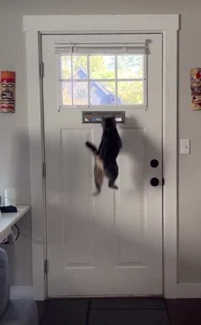 HMC while I get the mail