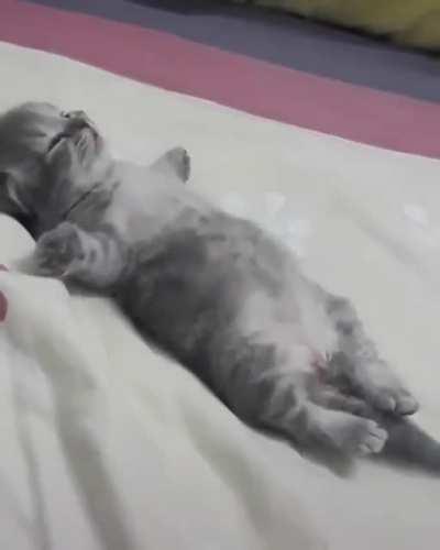 What's he dreaming about?