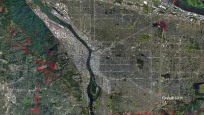 Protests in Perspective