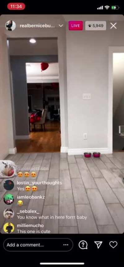 Sub for BerniceBurgos vids