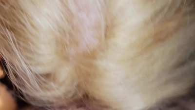 Ask nicely and I'll let you go next