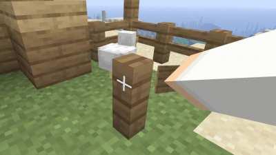 Meet Chucky the Chicken!